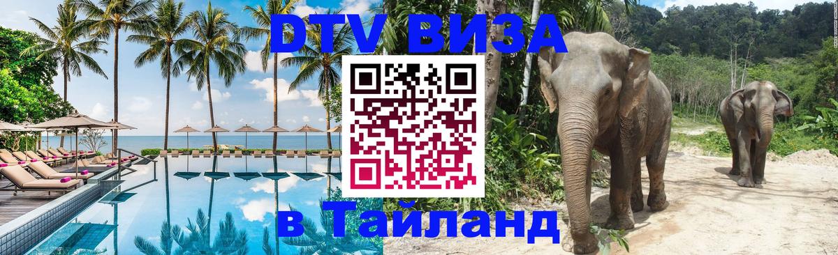 Оформление DTV визы под ключ: стоимость и тарифы, только загранпаспорт - 19.11.2025 